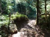  Blick auf die Wanderstrecke 